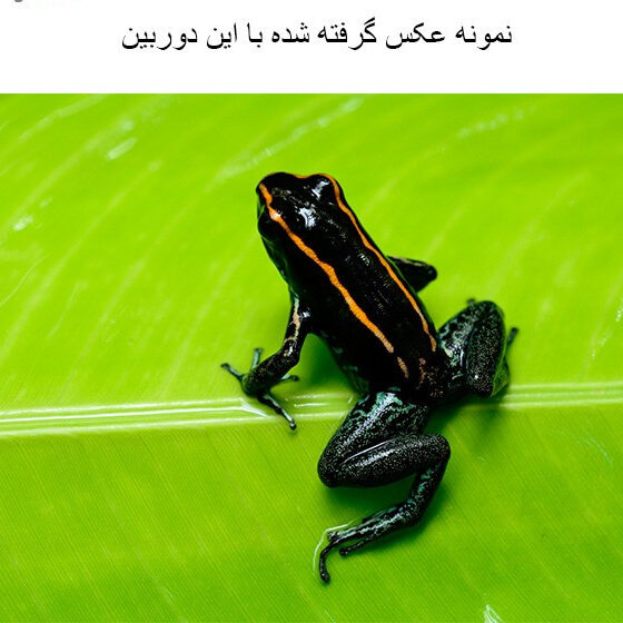 دوربین دیجیتال نیکون مدل D7100 به همراه لنز 18-140 میلی متر